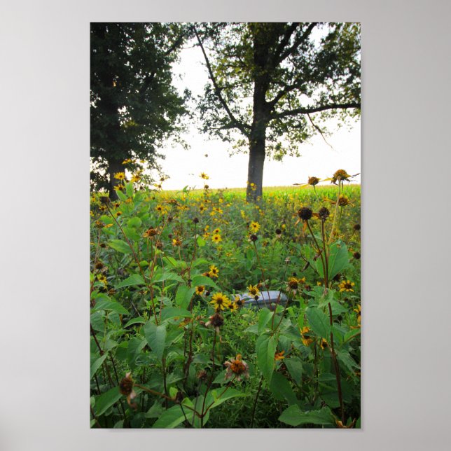 Póster Gravestona sumergida, cementerio de Bigelow, Ohio (Frente)