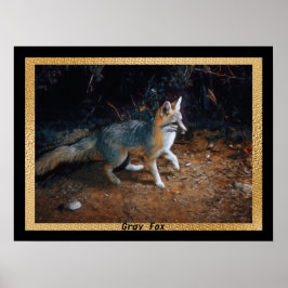 Póster Gray Fox Ready