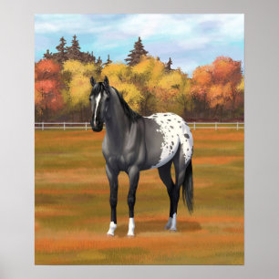 Póster Gray Grulla Appaloosa Quarter Stallion