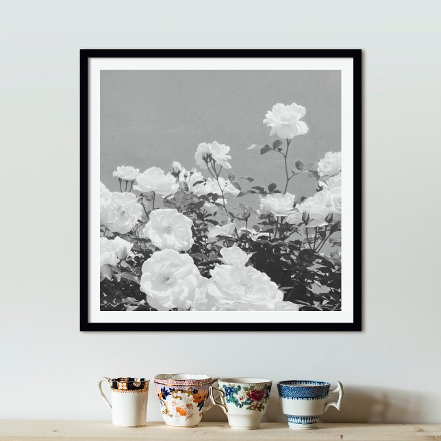 Póster Gray Roses Floral Garden Photo Art Print Poster (Subido por el creador)