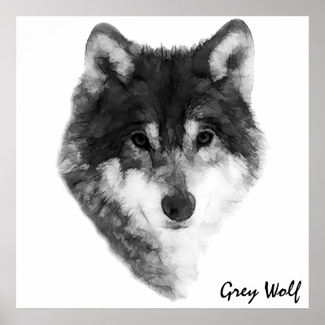 Póster Gray Wolf (Frente)