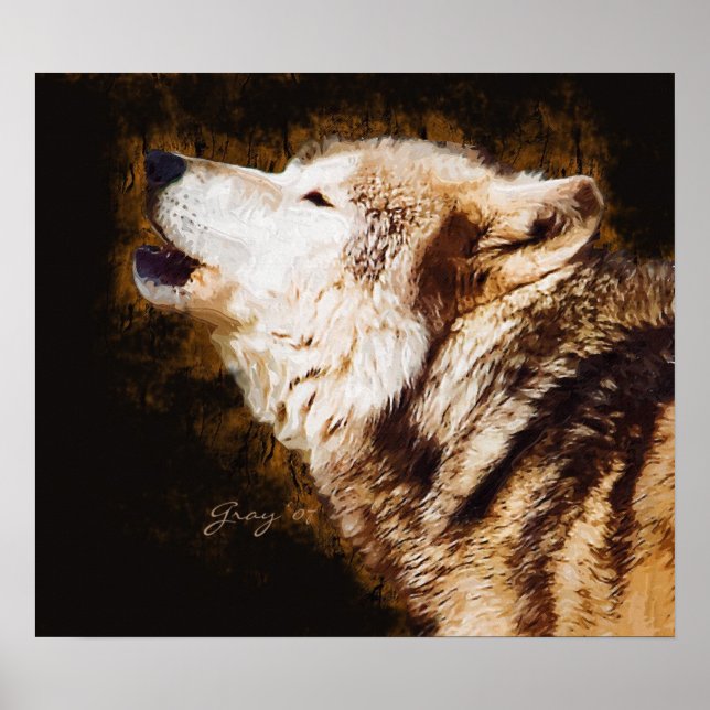 Póster Gray Wolf Baying (Frente)