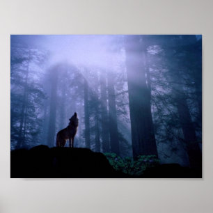 Póster Gray Wolf Howling At Dawn
