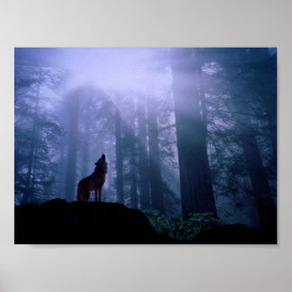 Póster Gray Wolf Howling At Dawn