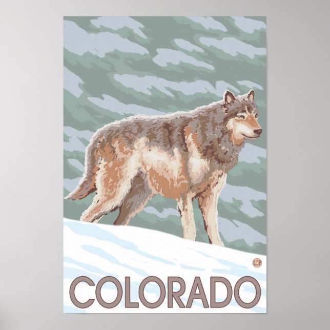 Póster Gray Wolf StandingColorado (Frente)