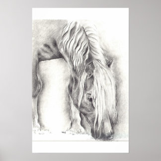 Póster Grazing Pony