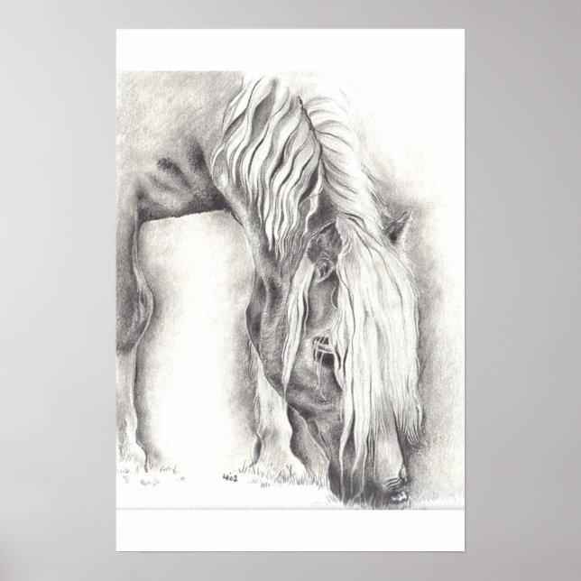 Póster Grazing Pony (Frente)