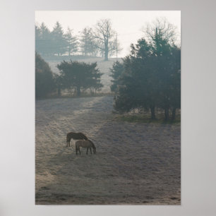 Póster Graznido de niebla