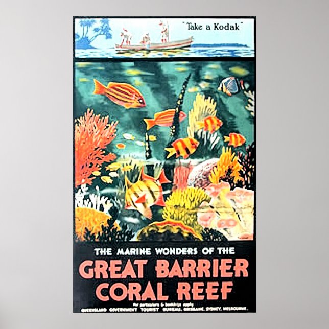 Póster Great barrier coral reef (Frente)