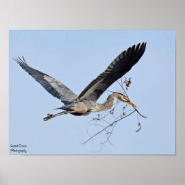 Póster Great Blue Heron