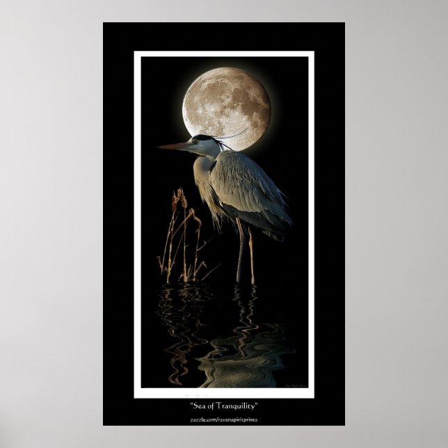 Póster GREAT BLUE HERON, REEDS & MOON Art Print (Frente)
