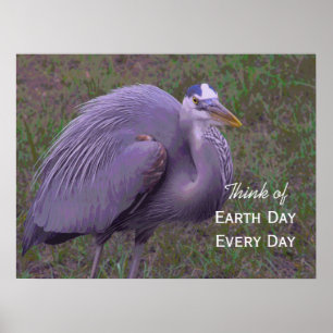 Póster Great Blue Heron Territory