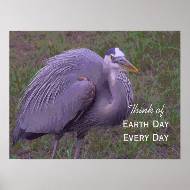 Póster Great Blue Heron Territory (Frente)