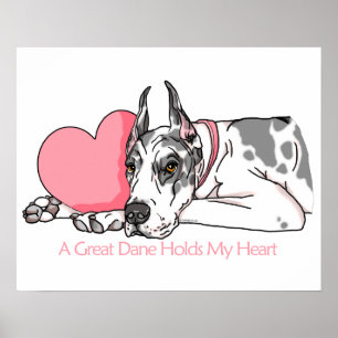 Póster Great Dane Holds Heart Harlequin