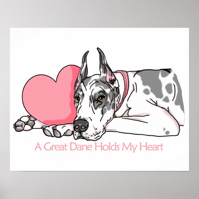 Póster Great Dane Holds Heart Harlequin (Frente)