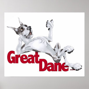 Póster Great Dane Laid Back Harlequin