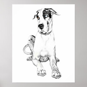 Póster Great dane que pone mala cara al Harlequin