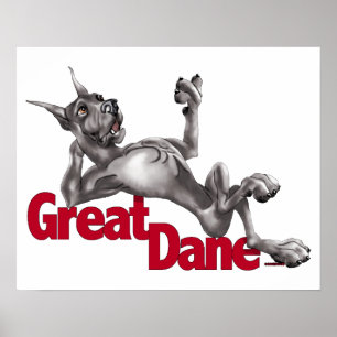 Póster Great dane reclinó negro