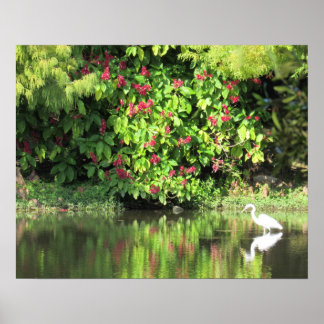 Póster Great Egret Fishing - Beautiful Landscape