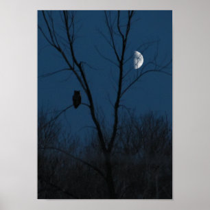 Póster Great Horned Owl at Night Poster or Print