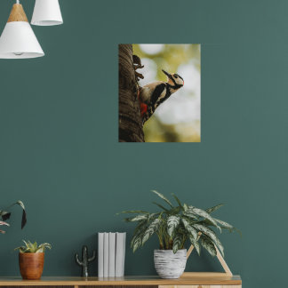 Póster Great Spotted Woodpecker Fine Art Nature Poster