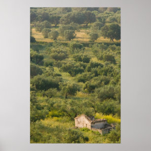 Póster GRECIA, Islas Jónicas, KEFALONIA, Havriata: