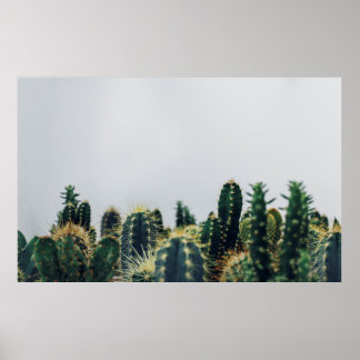 PÓSTER GREEN CACTI