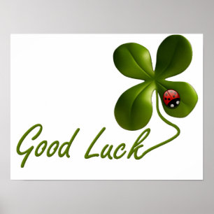 Póster Green Good Luck Clover Ladybug St.