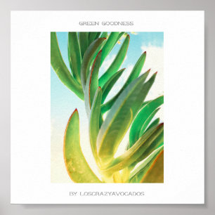 Póster Green Goodness Succulent Plant Aloe Poster