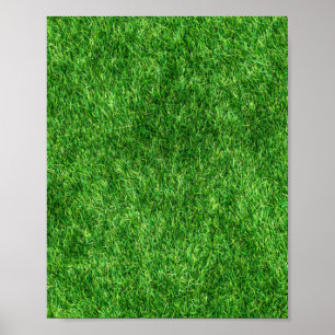 Póster Green Grass