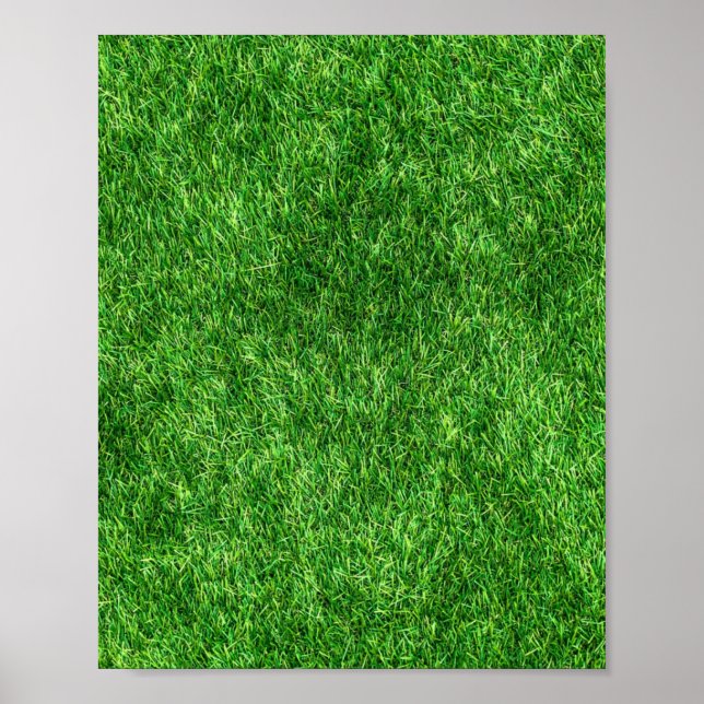 Póster Green Grass (Frente)