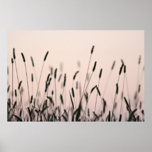 PÓSTER GREEN GRASS