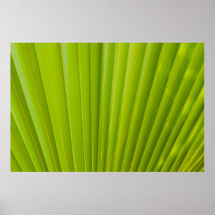 Póster Green leaf
