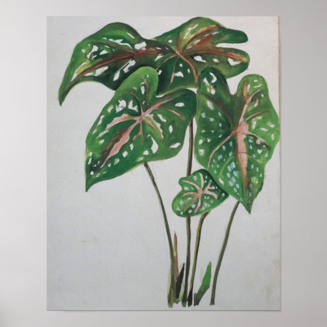 Póster Green Leaf Botanical Wall Art Print (Frente)
