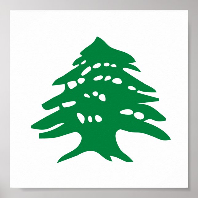 Póster Green Lebanon Cedar Tree (Frente)