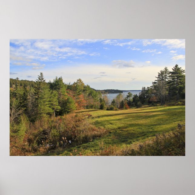 Póster Green Meadow Views (Frente)