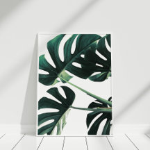 Green Monstera Photography Poster