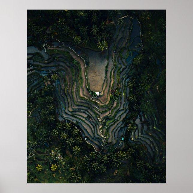 Póster Green moss on black rock (Frente)