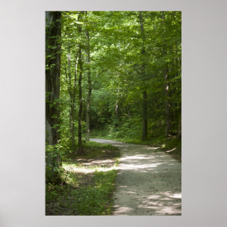 Póster Green Paths 13 Poster