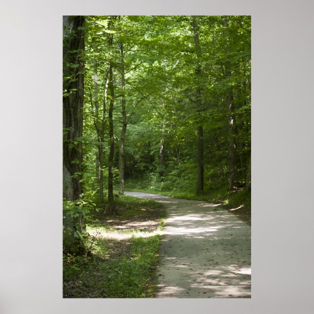 Póster Green Paths 13 Poster (Frente)