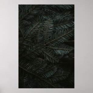 Póster Green pine tree leaves