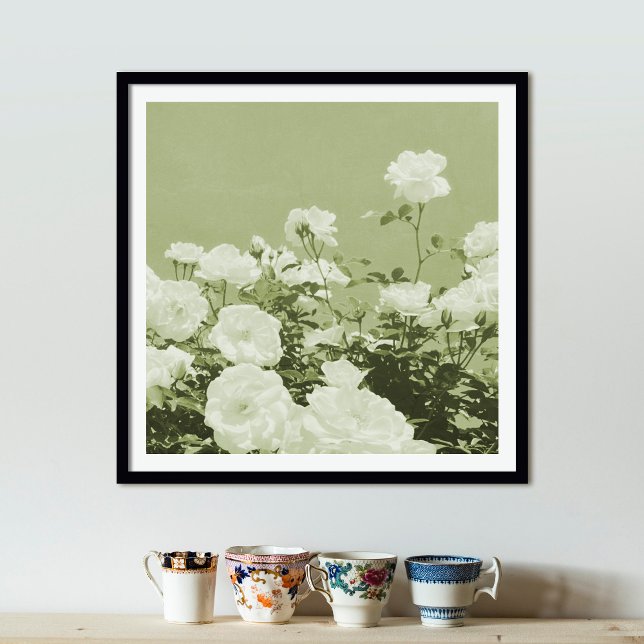 Póster Green Roses Floral Garden Photo Art Print Poster (Subido por el creador)
