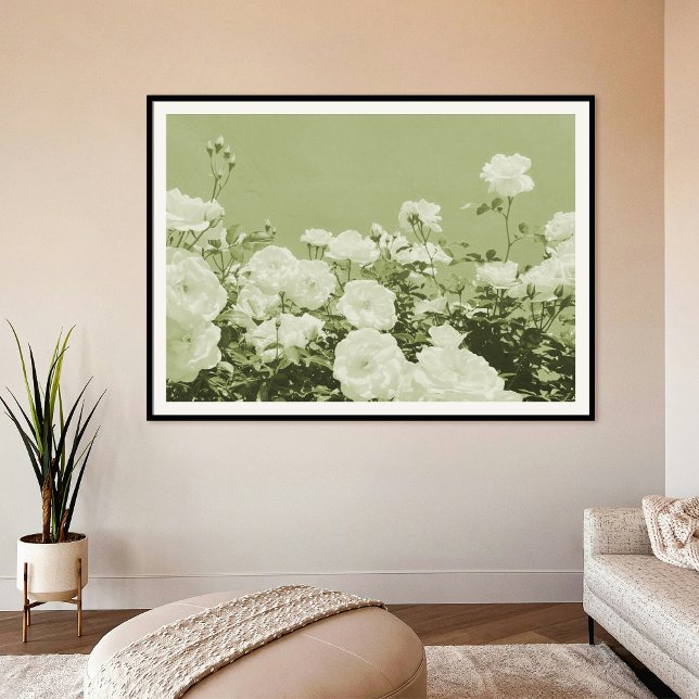 Póster Green Roses Floral Garden Photo Art Print Poster (Subido por el creador)