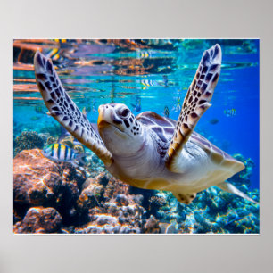 Póster Green Sea Turtle Swimming Over Coral Reef  Hawaii