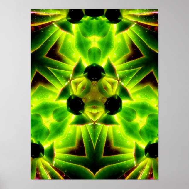 Póster Greenadia Poster (Frente)