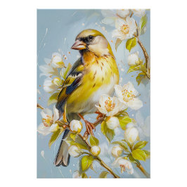 Póster Greenfinch europeo en colores naturales