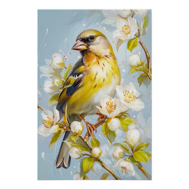 Póster Greenfinch europeo en colores naturales (Anverso)