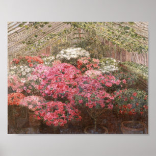 Póster Greenhouse Azaleas Marie Antoinette Marcotte
