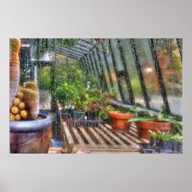 Póster Greenhouse - En una ventana de Greenhouse (Frente)