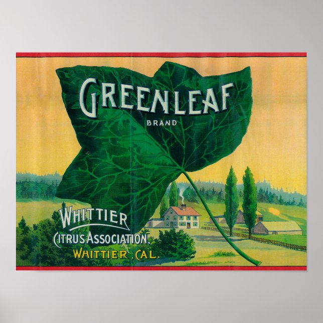 Póster Greenleaf Lemon LabelWhittier, CA (Frente)